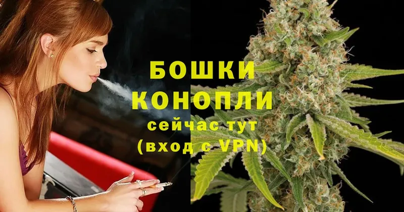 Бошки марихуана OG Kush  Белогорск 